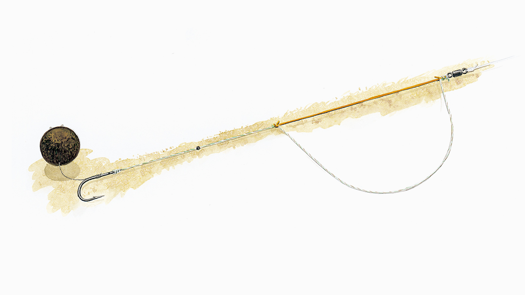 Fishing graphics | Fishtic.com